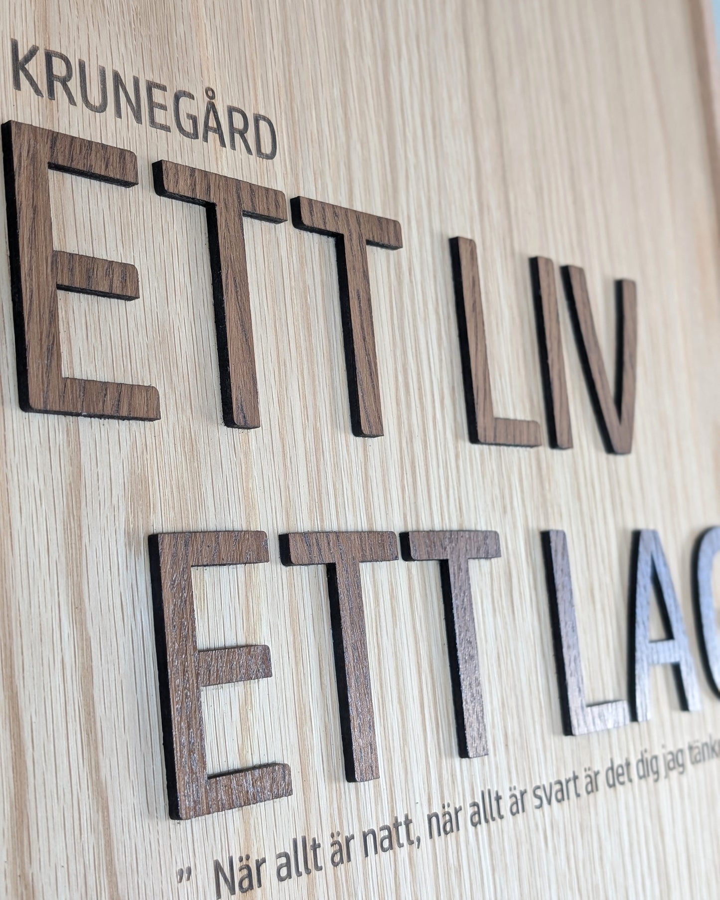 Ett liv Ett lag