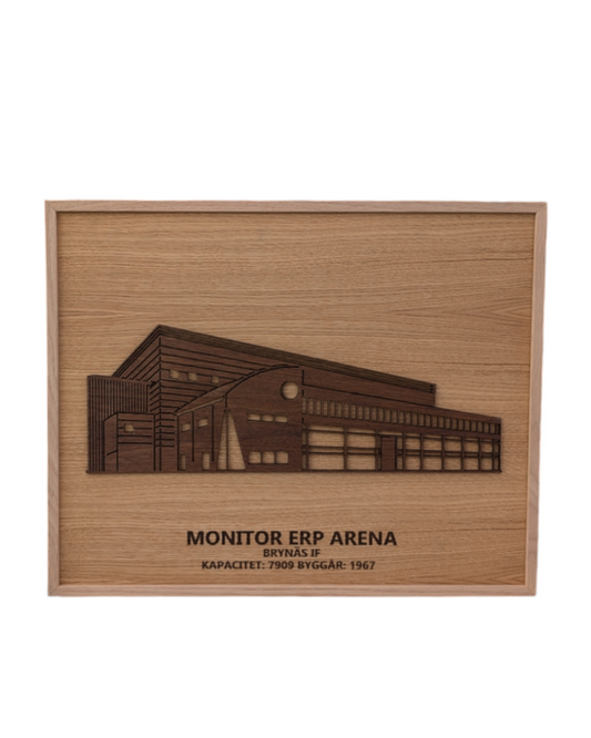 Monitor ERP Arena